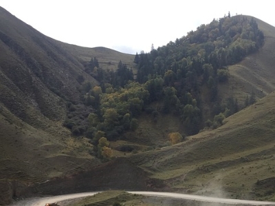 Qinghai