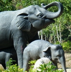 4-Day Xishuangbanna Trip