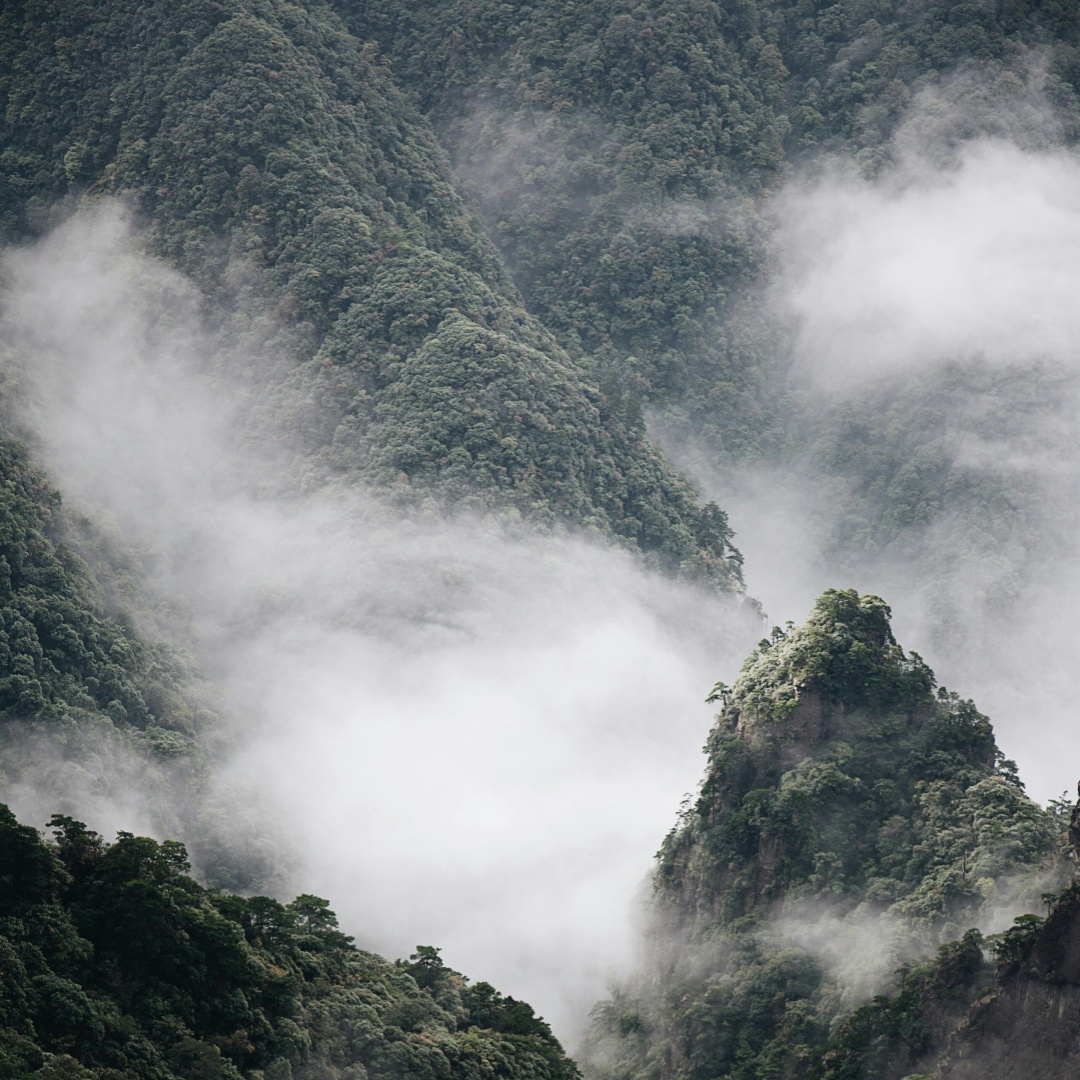 Mount Fanjing