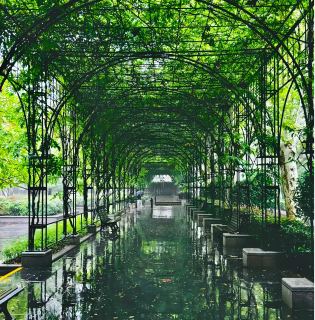 Fuxing Park
