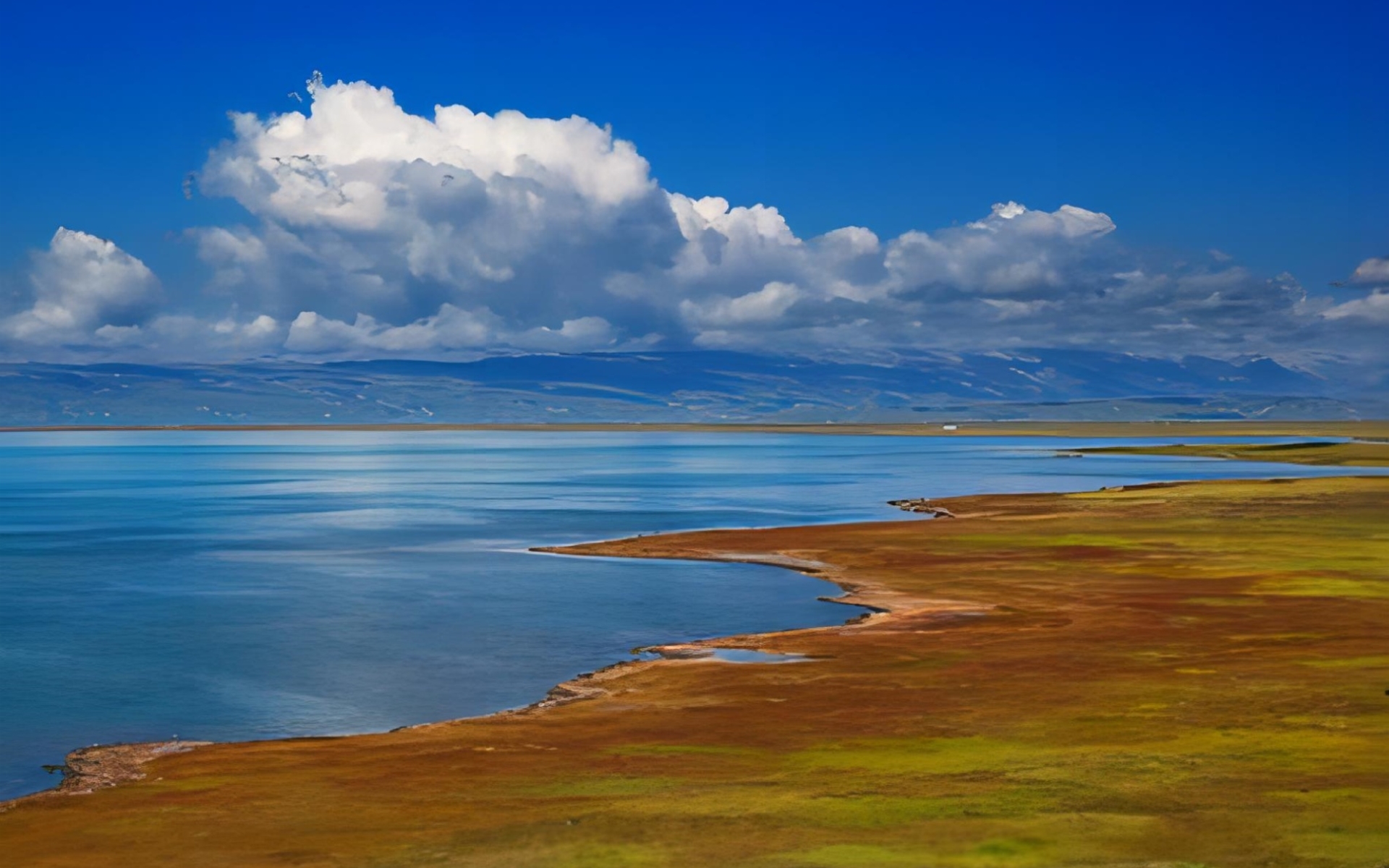 日 2: qinghai