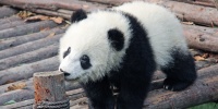 How to plan your first trip in China