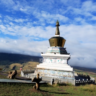 Navigating Qinghai’s Urban Transport with Ease