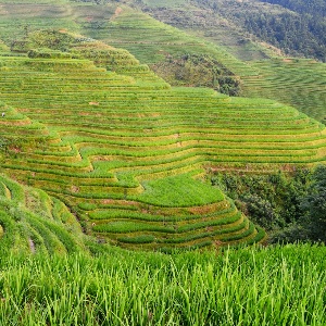 Top 10 Must-see Attractions in Guangxi