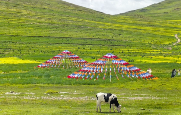 Day 2: Qinghai