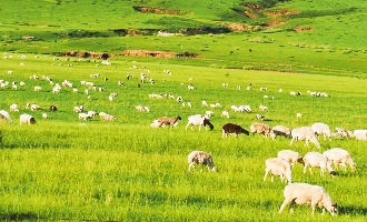 Inner Mongolia_0