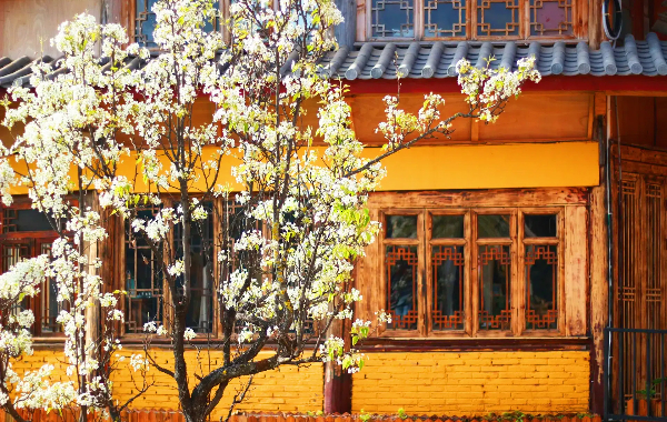 Day 5: Lijiang