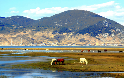 Lijiang Tours