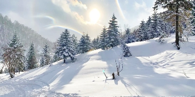   Day 7: Snow Town
