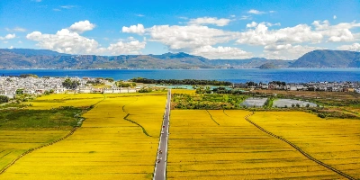 Day 4: Dali-Lijiang