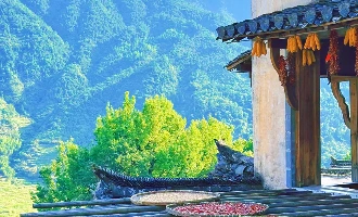Day 2: Wuyuan