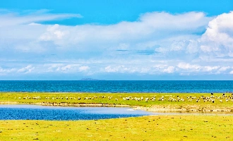 3日目: Qinghai