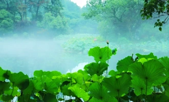 Jour 1: Hangzhou