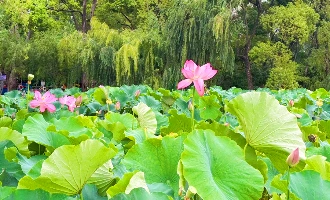 Day 15: Kunming Departure