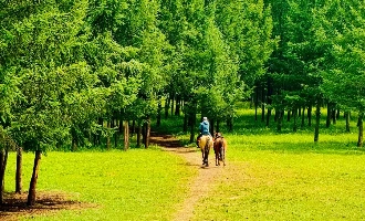 Day 4: Chengde