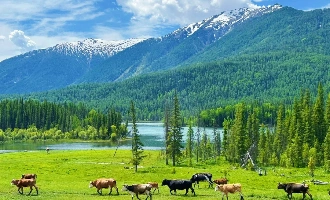 Day 5: Kanas Lake