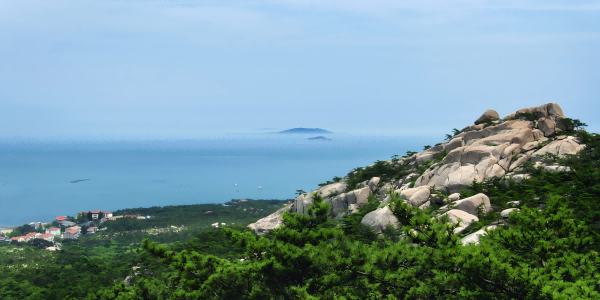 8日目:青島