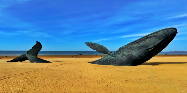 Day 4：Yantai