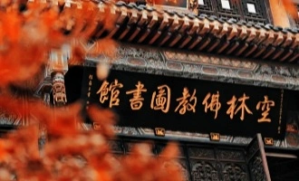 Day 8: Chengdu