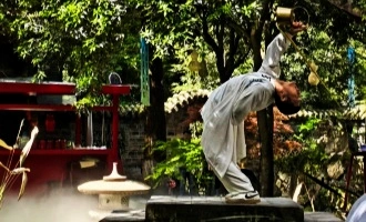 Day 8: Chengdu