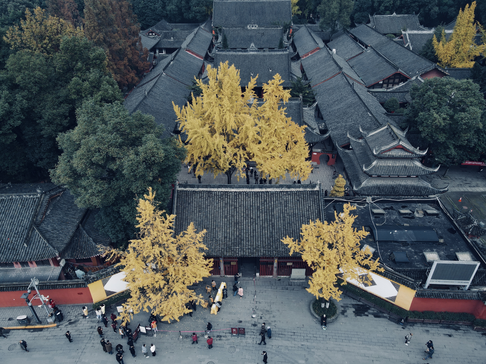 Day 7: Chengdu