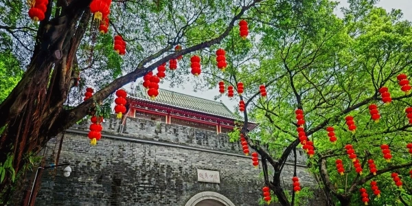 Día 2: Guangzhou