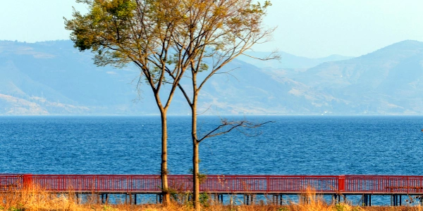 Day 3: Fuxian Lake