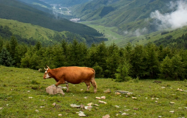Día 4:Linfen - Taiyuan