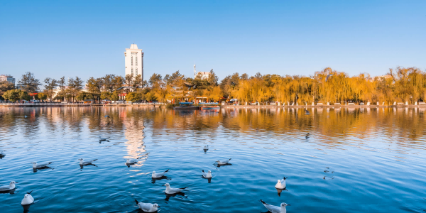 Jour 2:Kunming