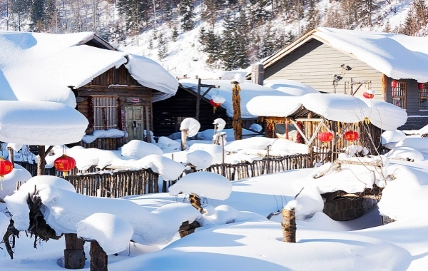 Day 3: Snow Town