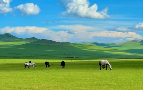 Tag 5: Hailar-- Manzhouli