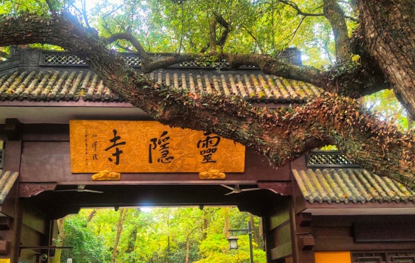 Tag 1: Hangzhou Ankunft