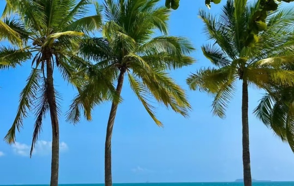 Day 1: Sanya