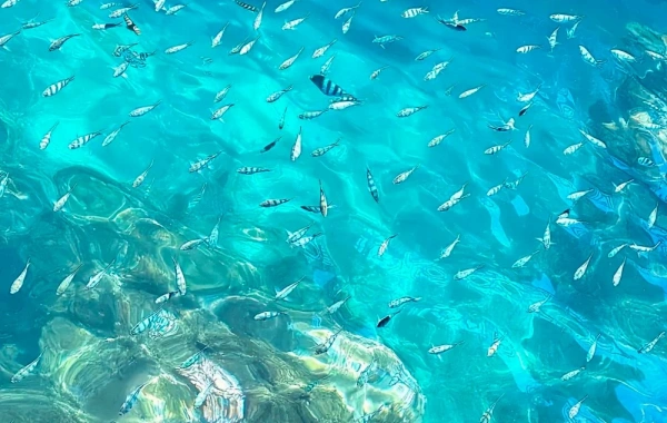 Day 1: Sanya
