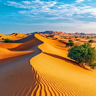 اليوم 2: دون هوانغ
