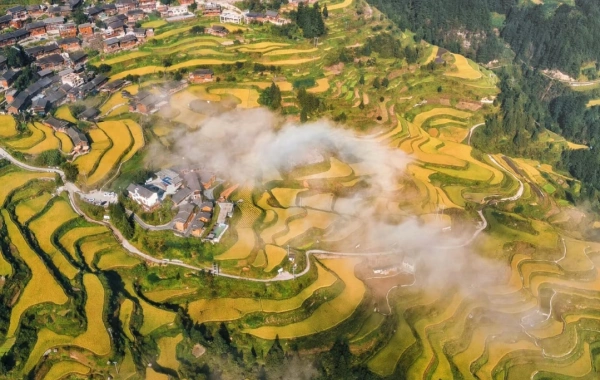 Tag 3: Anshun - Kaili (B, L)