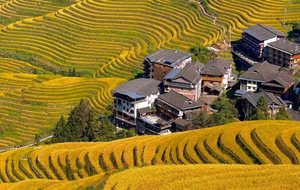 اليوم الرابع: يانغشو Longsheng 