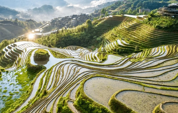 اليوم الرابع: يانغشو Longsheng 