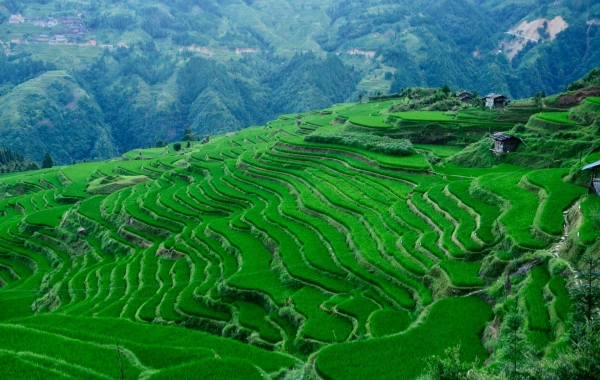 Tag 3: Guizhou