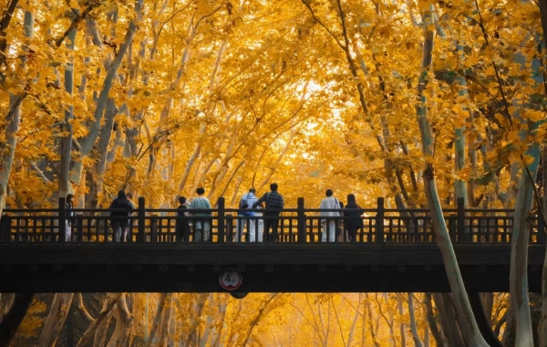 Jour 2: Nanjing