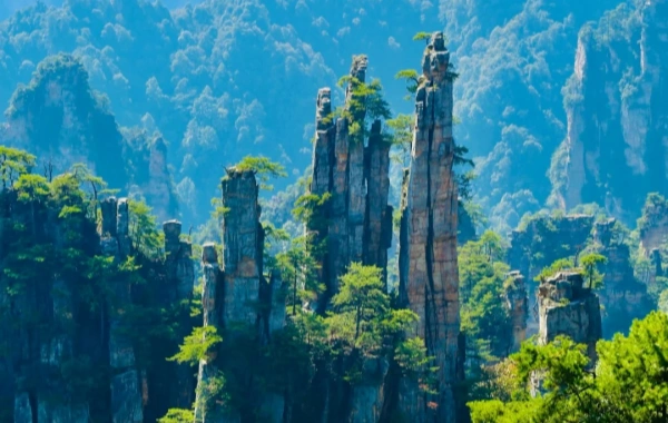 Day 1：Zhangjiajie Yuanjiajie & Golden Whip Stream