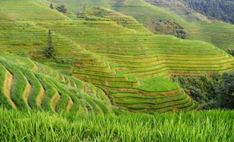 Day 4: Guilin Departure