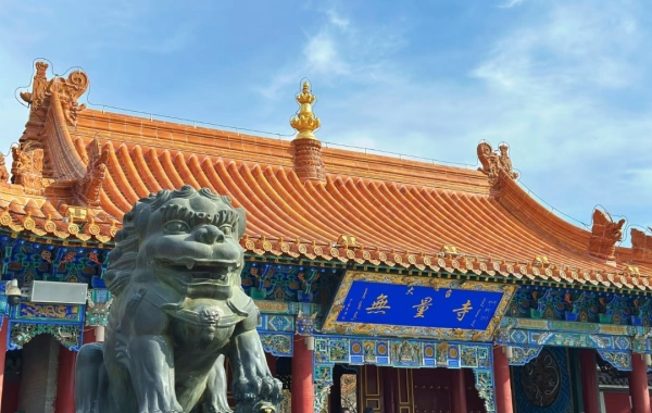 Tag 8: Ulanqab--Hohhot