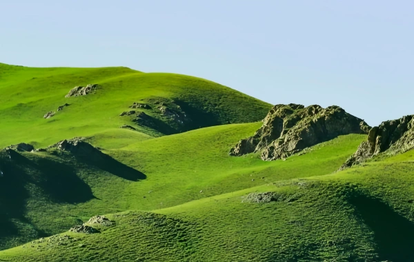 1日目: Qinghai 到着