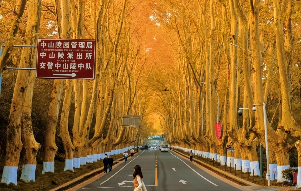 Jour 2: Nanjing