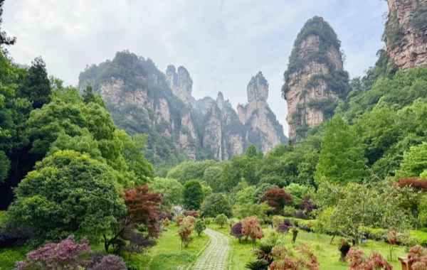 Day 2: Zhangjiajie 