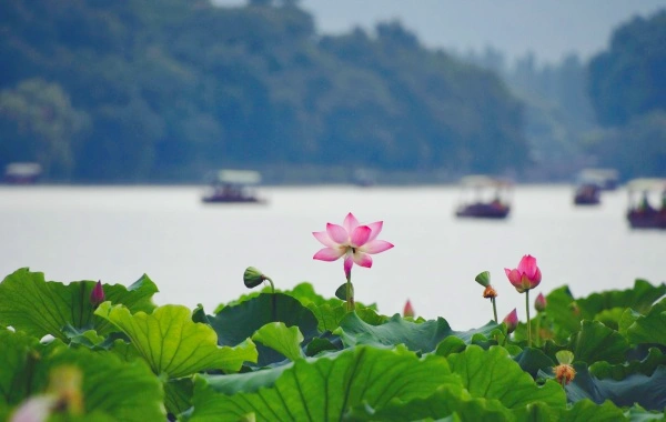 Tag 1: Hangzhou Ankunft