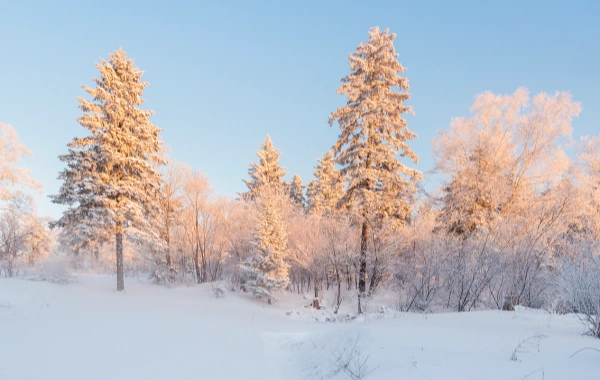 Day 7: Jilin