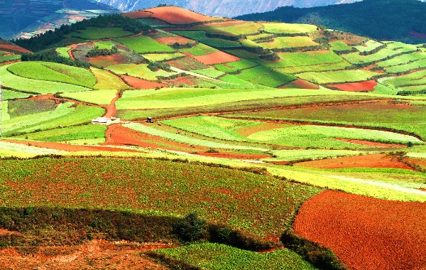 Kunming Dongchuan Red Land 3-Day Tour