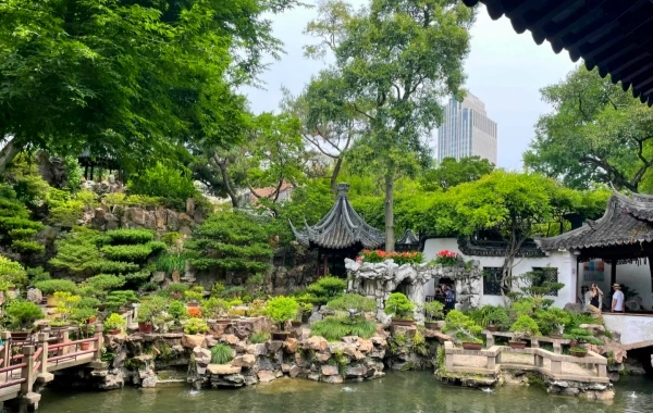Jour 11: Shanghai